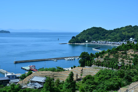 津和地島の風景