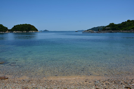 津和地島の風景